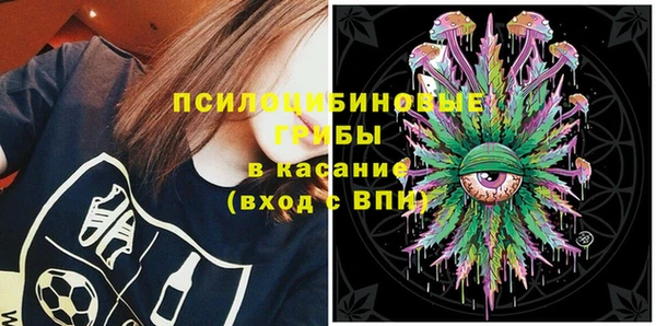 Альфа ПВП Горняк