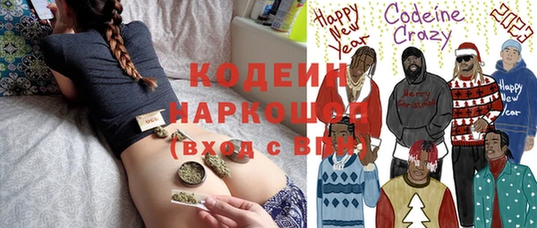 Альфа ПВП Горняк