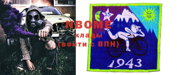 Альфа ПВП Горняк